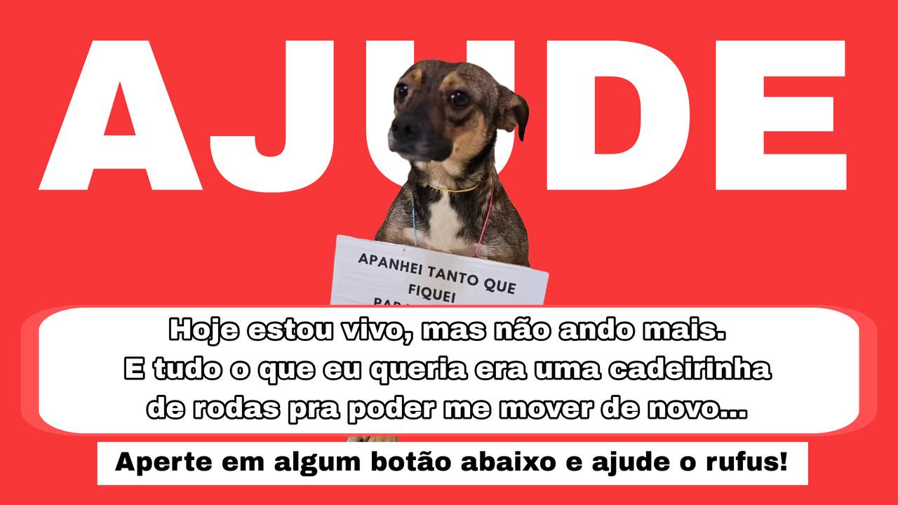 Imagem da campanha